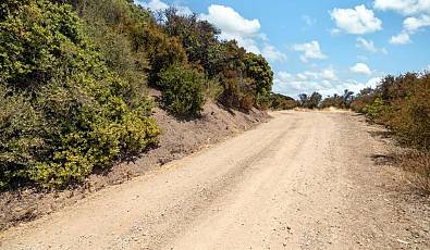 Bear Creek Road