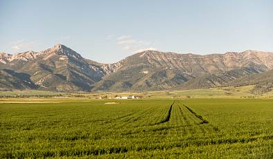 313 Acres For Belgrade Montana