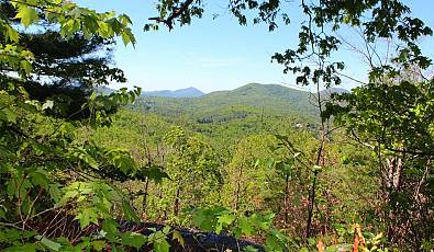 Lot 14 Shirley Pressley Road