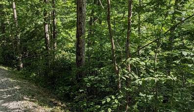 Lot 24 Pilot Knob Road