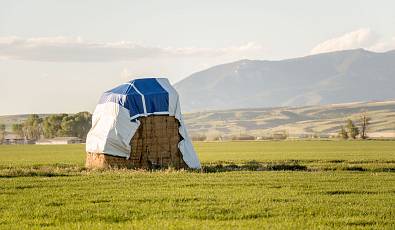 313 Acres For Belgrade Montana