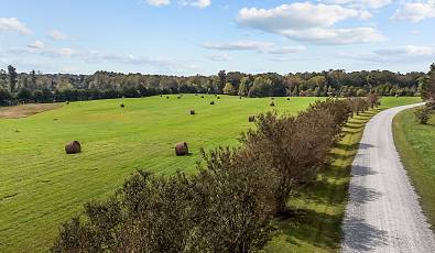 20 Acres of Serene Pastureland Minutes from DT Historic Hillsborough